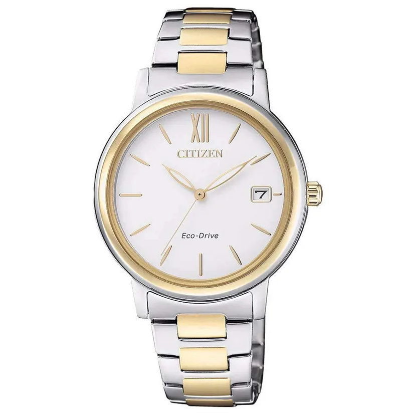 citizen watch fe6094-84a