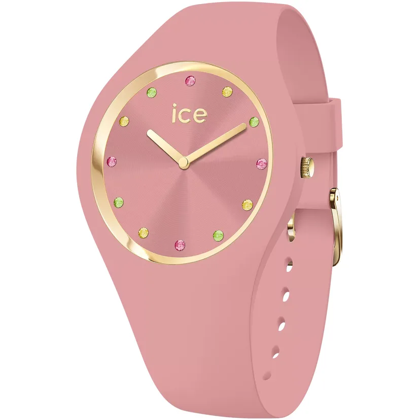 icewatch 022359
