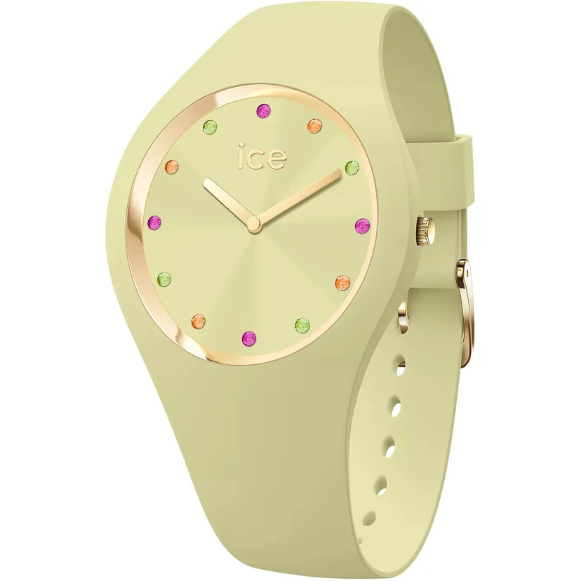 icewatch 022361