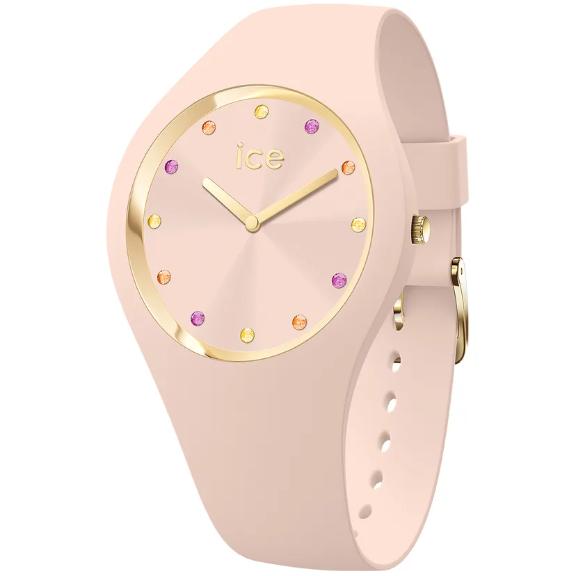 icewatch 022458