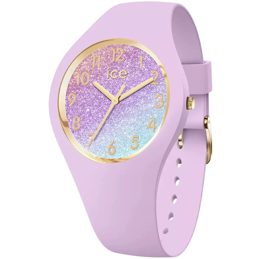 icewatch 022570
