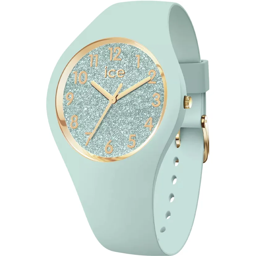 icewatch 022571
