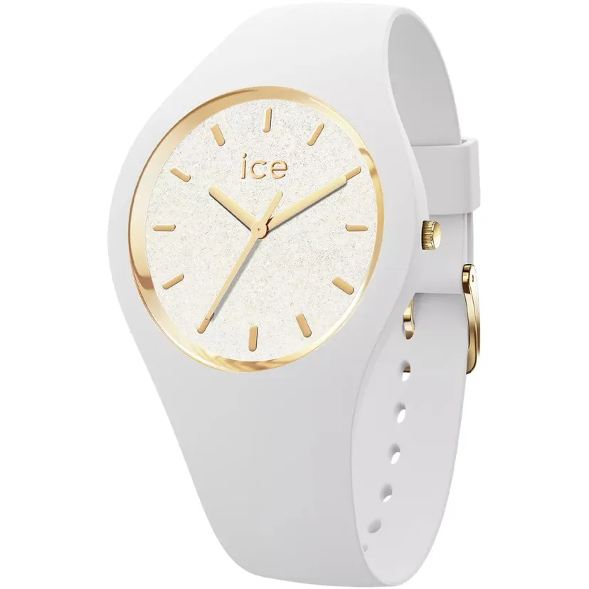 icewatch 022573