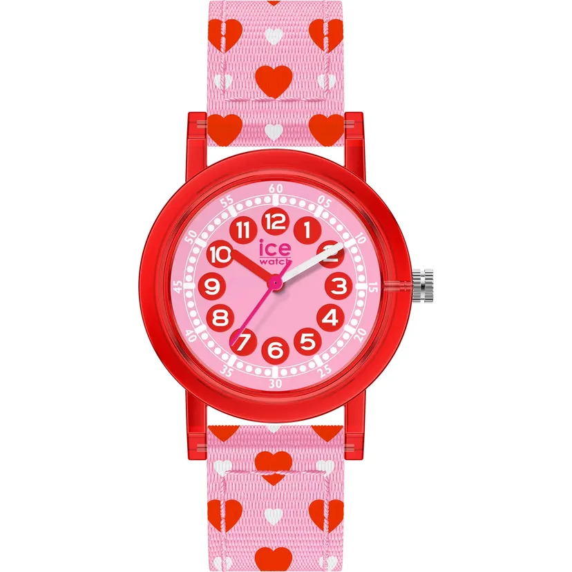 icewatch 022690