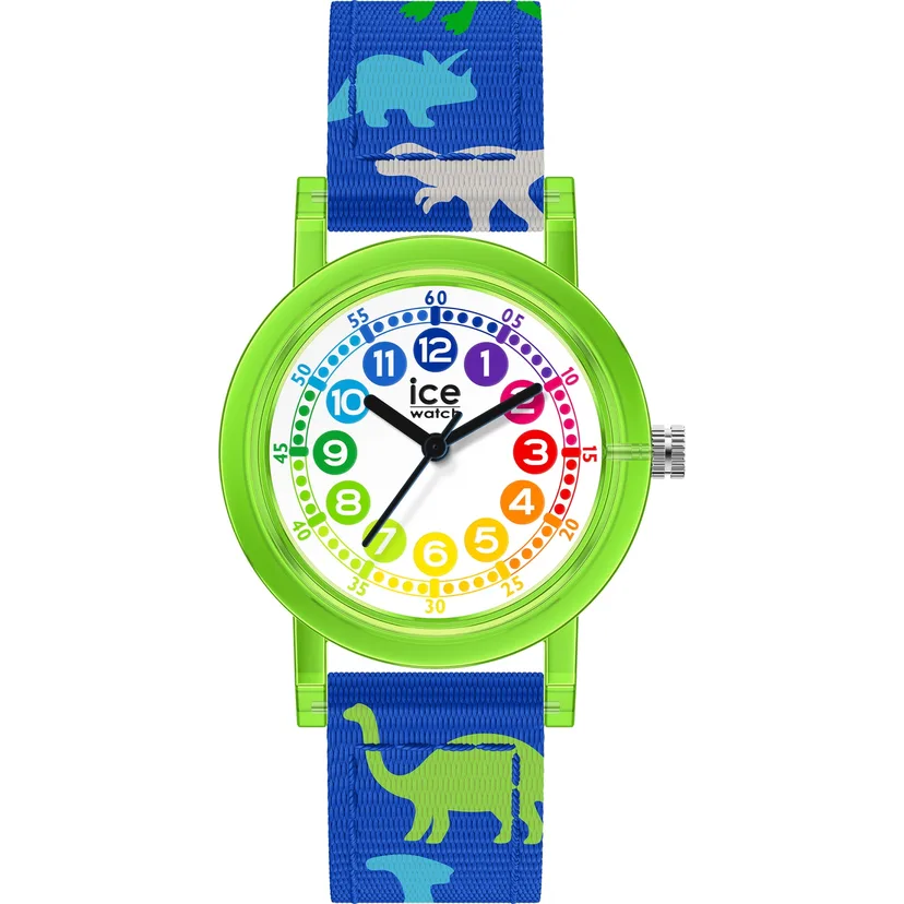 icewatch 022693