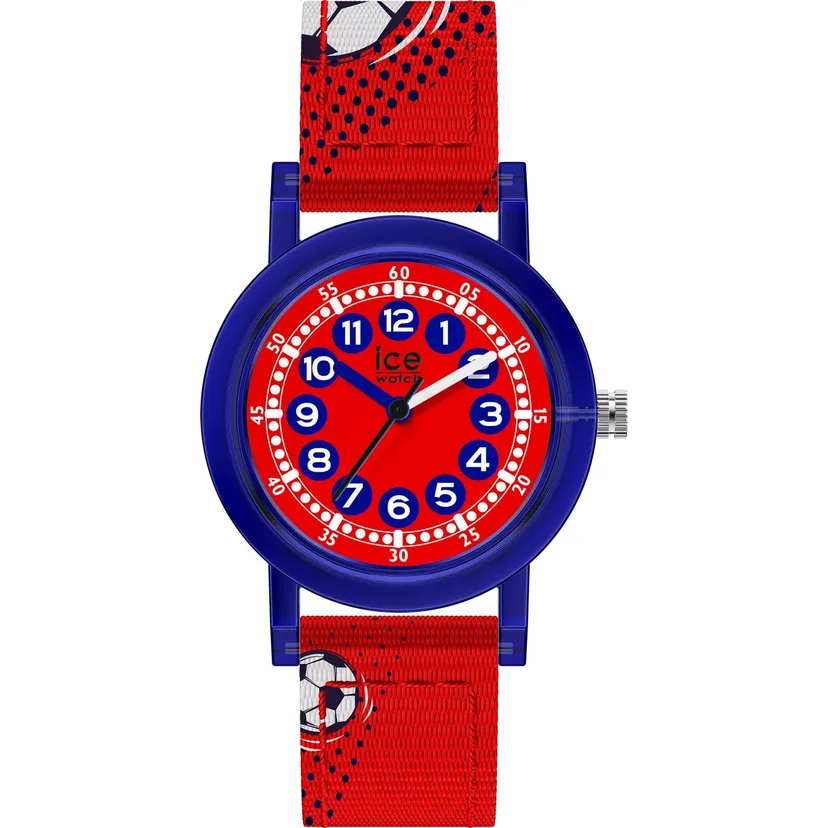 icewatch 022694