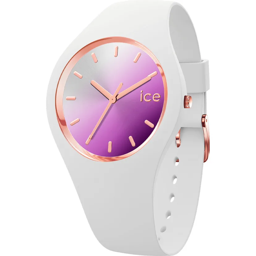 icewatch 020636