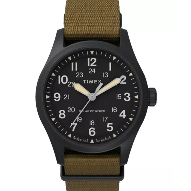 timex tw2v29600