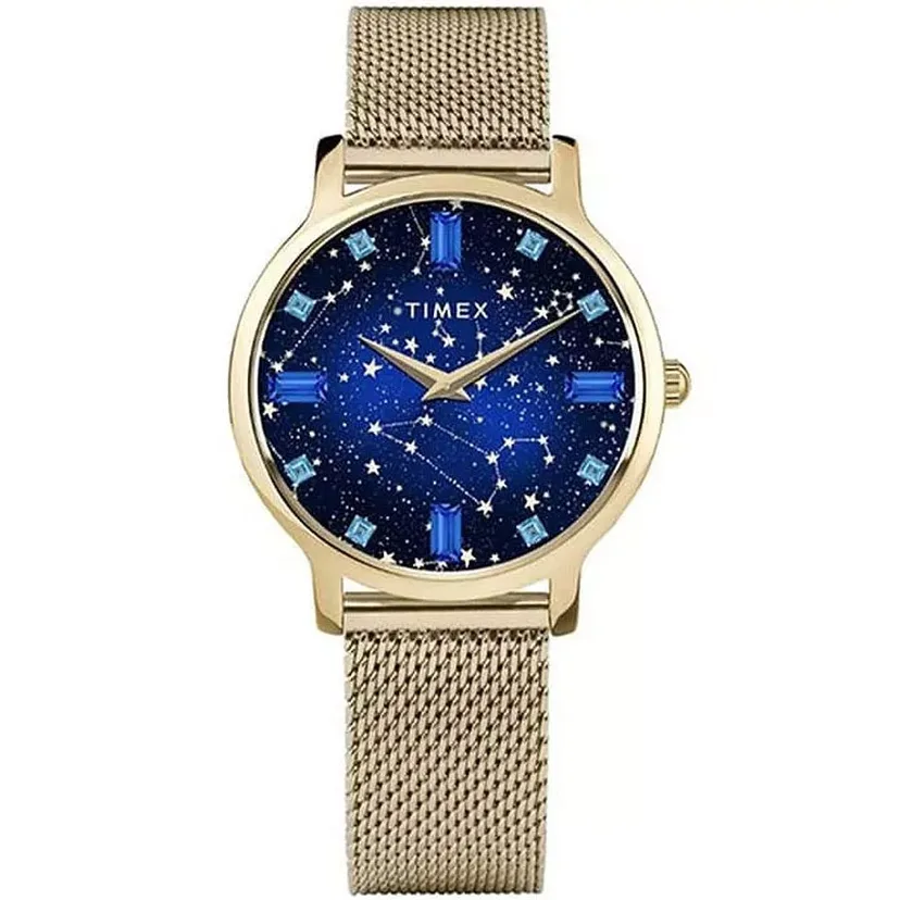 timex tw2v51900