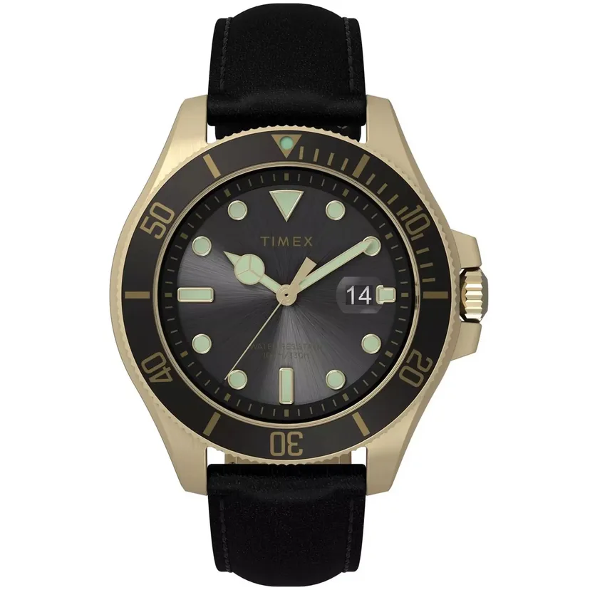 timex tw2v42200