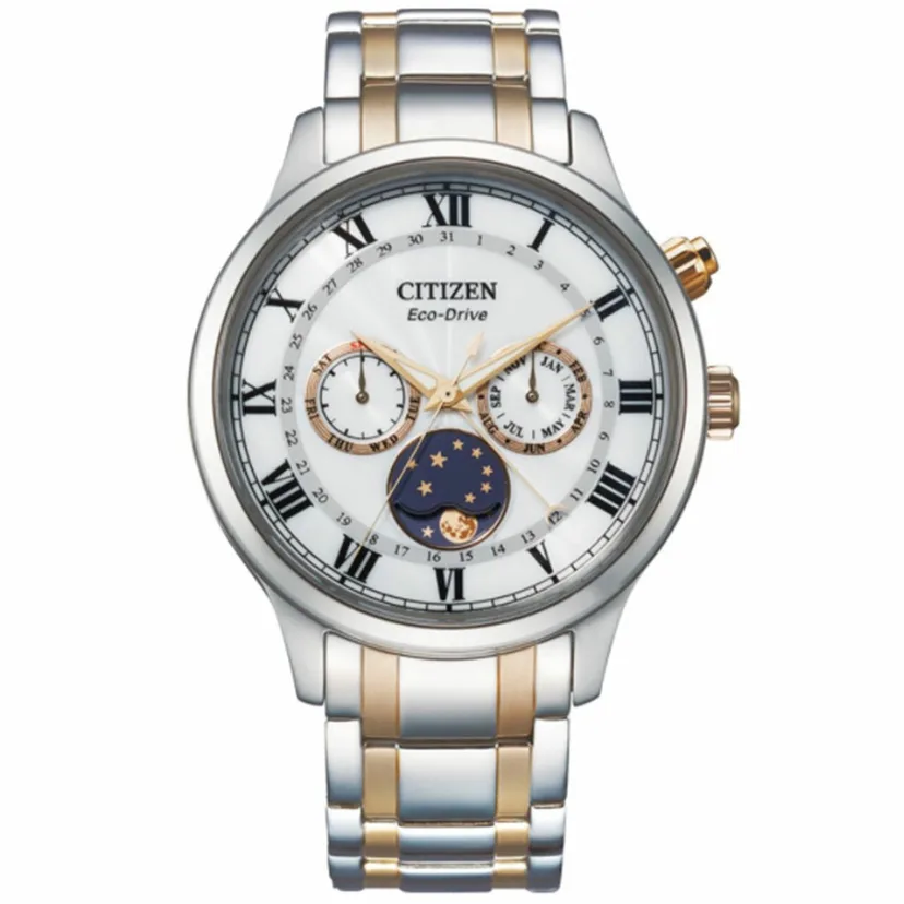 citizen watch ap1054-80a