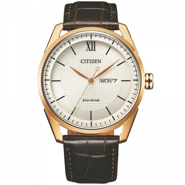 citizen watch aw0082-19a