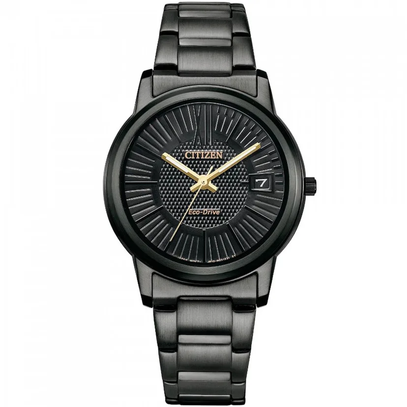 citizen watch fe6017-85e