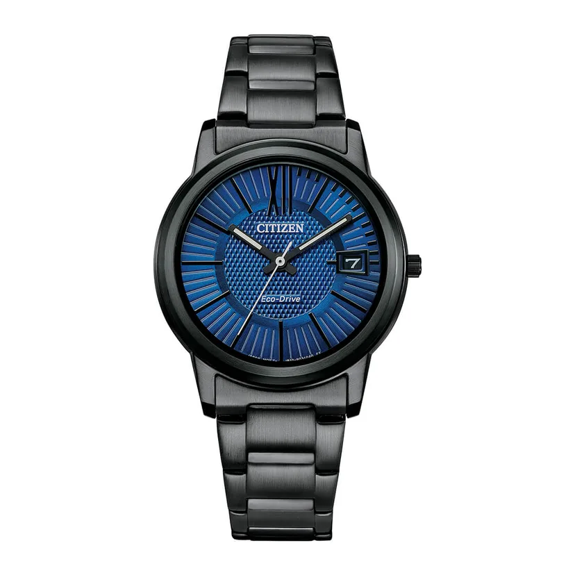 citizen watch fe6017-85l